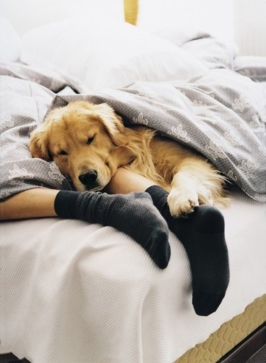 Se qualcuno vi dicesse che dormire fa dimagrire, iniziereste a ridere? Sbagliereste.